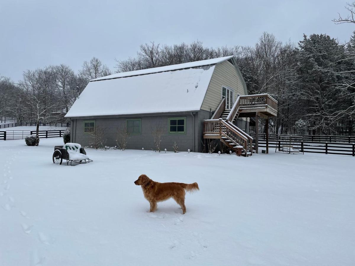 Full Circle Farm Inn 富兰克林 外观 照片