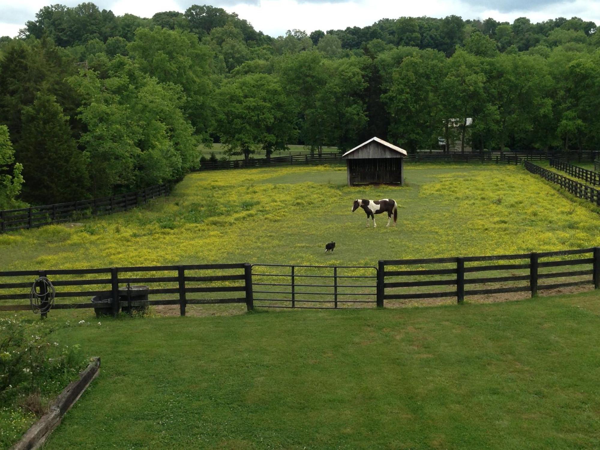 Full Circle Farm Inn 富兰克林 外观 照片